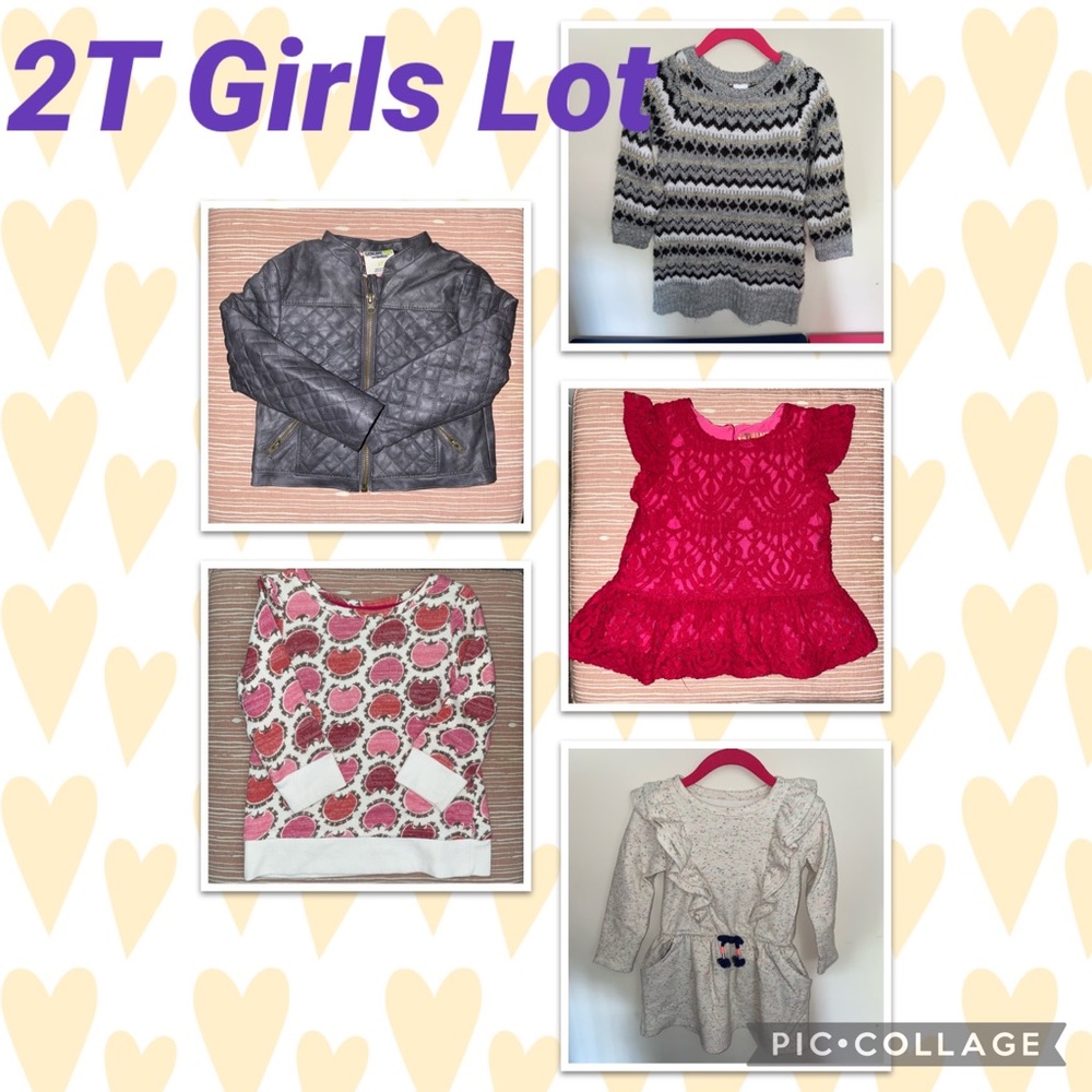 2T Toddler Girls Clothes Lot- Gently Used